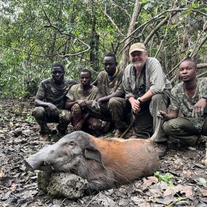 Red River Hog Hunting Central African Republic C.A.R.