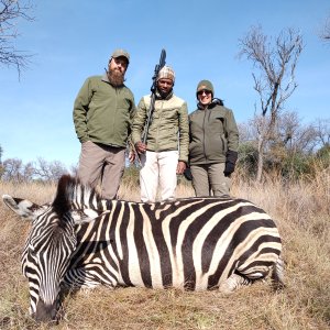 Zebra Hunt South Africa