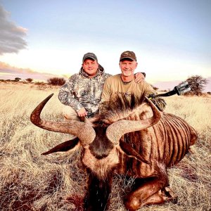 Blue Wildebeest Bull Bow Hunting South Africa