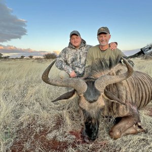 Blue Wildebeest Bull Bow Hunting South Africa