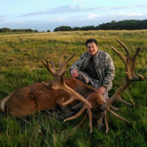 Red Stag Hunt Argentina