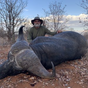 Buffalo Hunt Zimbabwe