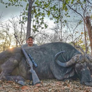 Buffalo Hunting Niassa Mozambique