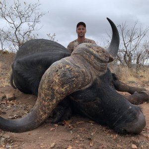 Buffalo Hunting Niassa Mozambique