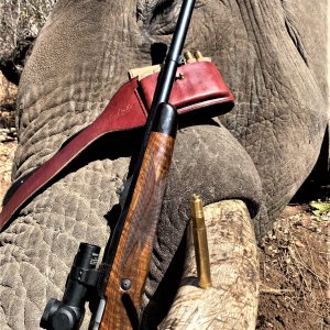 Elephant Hunting Zimbabwe