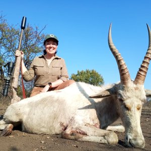 Hunting Blesbok South Africa