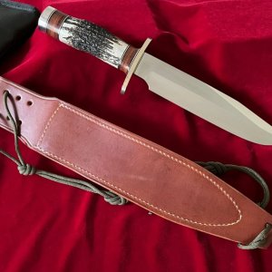 Bowie Knife In Stag With Stainless Blade