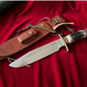 Bowie Knife In Stag With Stainless Blade