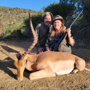 Impala Hunt South Africa