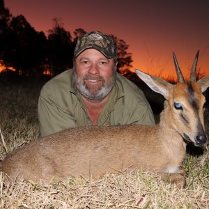 Duiker Hunting Eastern Cape South Africa