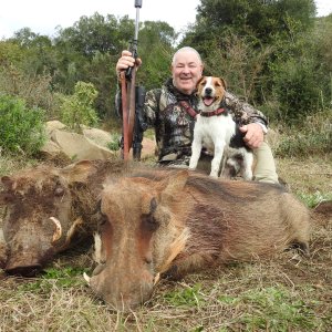 Wathog Hunting Eastern Cape South Africa