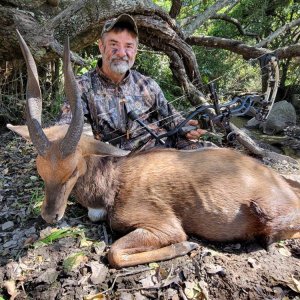 Bushbuck Bow Hunt South Africa