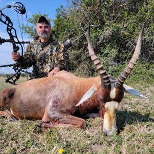 Blesbok Bow Hunt South Africa