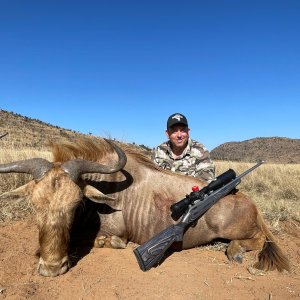 Golden Wildebeest Hunt South Africa