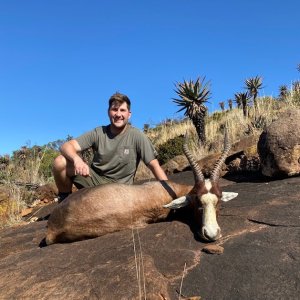 Blesbok Hunt South Africa