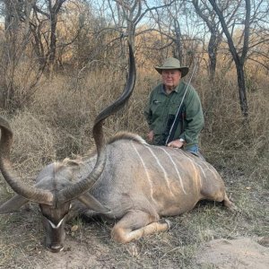 Kudu Hunting South Africa