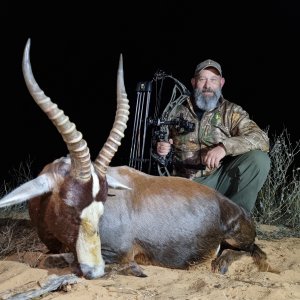 Blesbok Bow Hunting South Africa
