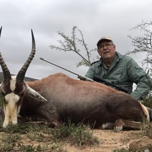Blesbok Hunting Eastern Cape South Africa