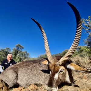 Waterbuck Hunting South Africa