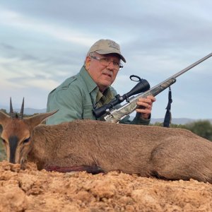 Duiker Hunt Eastern Cape South Africa