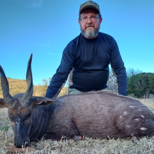 Eastern Cape Of South Africa Bushbuck Hunt