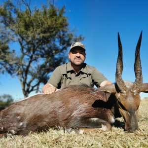 Bushbuck Hunting Eastern Cape South Africa