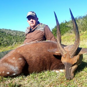 Bushbuck Hunting Eastern Cape South Africa