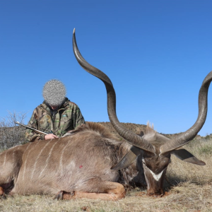 Kudu Hunt South Africa