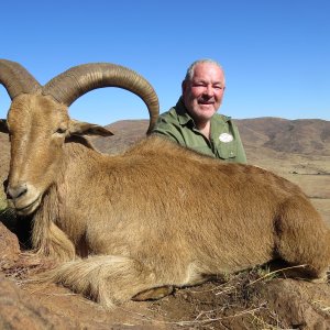 Barbary Hunt South Africa