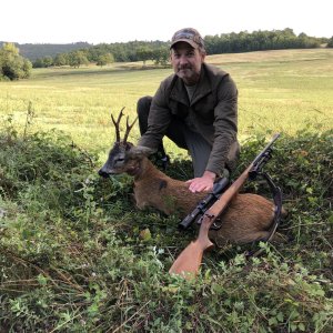 Roe Deer Hunting Italy