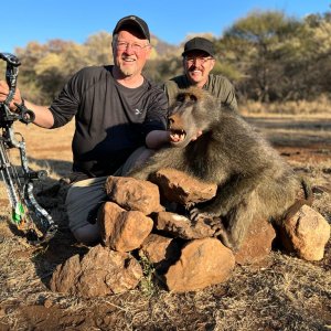 Baboon Bow Hunt South Africa
