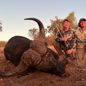 Hunting Cape Buffalo