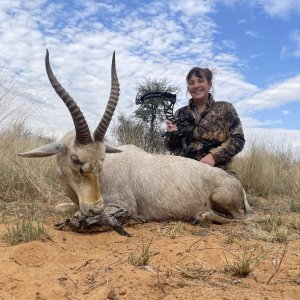 White Blesbok Hunting