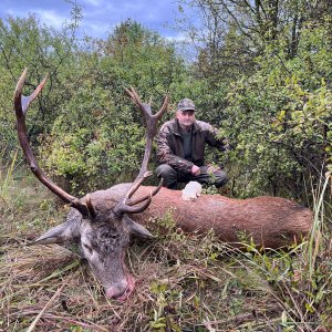 Red Deer Hunt Romania