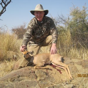 Steenbok Hunt Namibia