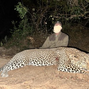 Kwalata Safaris Leopard Mozambique 2022