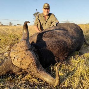 Buffalo Hunt Eastern Cape South Africa