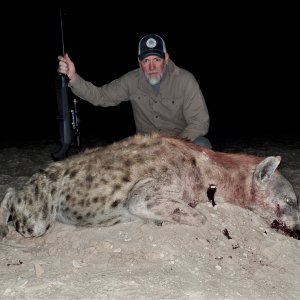 Hyena Hunting Zimbabwe