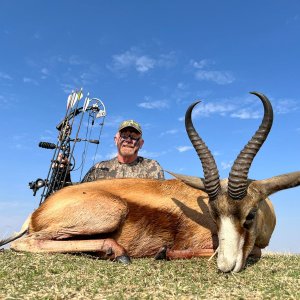 Springbok Bow Hunt South Africa