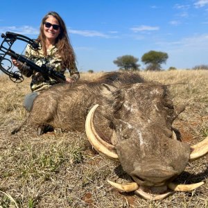 Warthog Bowhunting South Africa