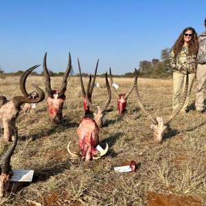 Trophy Bowhunting South Africa