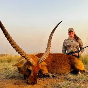 Lechwe Hunt South Africa