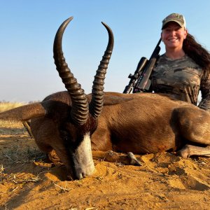 Black Springbok Hunt South Africa