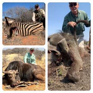 Zebra, Buffalo Cow & Baboon Hunt South Africa