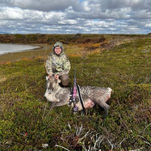 Caribou Hunt Alaska