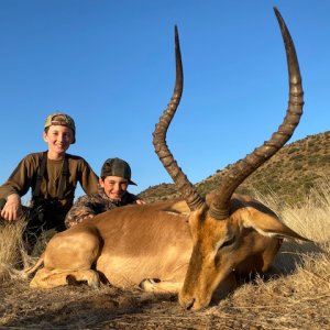 Impala Hunt South Africa