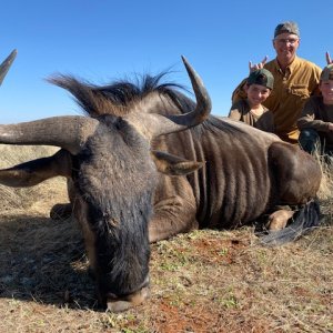 Blue Wildebeest Hunt South Africa