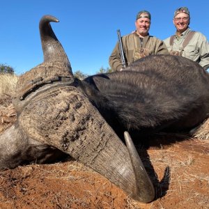 Hunting Buffalo South Africa