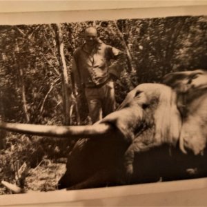 Vintage Tanzania Safari