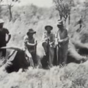 Vintage Tanzania Elephant Safari